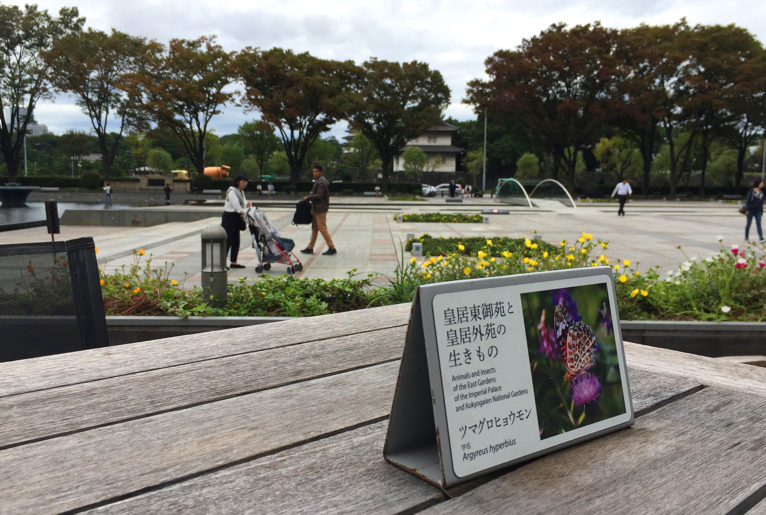 Foto 12.10.18, 05 00 24.jpg