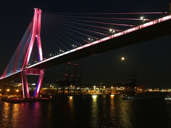 2018-10-23 18.13.26.jpg